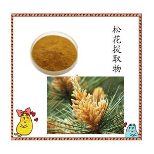 松花提取物 植物提取 六盘韵供应 松花粉 全国包邮