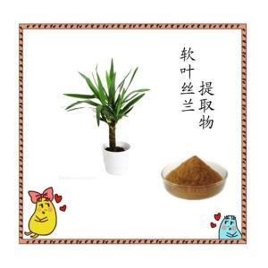 软叶丝兰提取物 皂甙 比例浓缩 可水溶 可定制生产 六盘韵