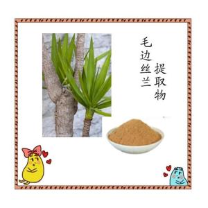 六盘韵毛边丝兰提取物现货 10:1各种规格可提取 库存充足