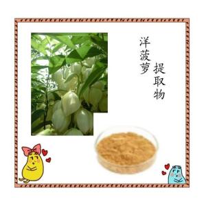 洋菠萝提取物  提供外检报告 规格10:1 库存量大