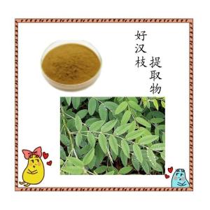 好汉枝提取物 好汉枝粉   包邮