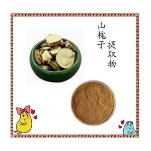 水溶性山槐子提取物 多种规格可定制生产