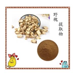 野槐提取物 浓缩萃取 喷雾干燥工艺 质量稳定 可试样