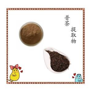 普茶提取物   速溶茶粉