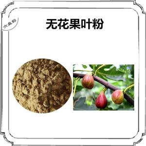 无花果叶速溶粉 无花果叶粉 水溶性原料 奶浆果叶粉
