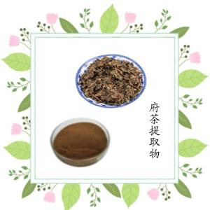 府茶提取物 喷雾干燥工艺   水溶性府茶粉