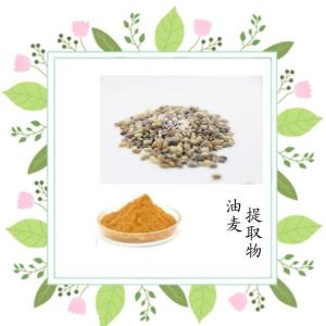 油麦提取物 六盘韵供应 资质齐全