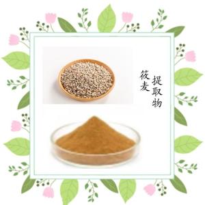 筱麦提取物 六盘韵生产 水溶性好