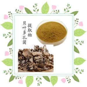贝叶多孔菌提取物 比例提取 规格齐全