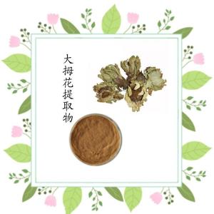 水溶性大拇花提取物 厂家供应大拇花速溶粉