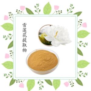 雪莲花提取物  浓缩粉 喷雾干燥工艺