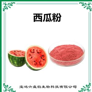 西瓜果汁粉 西瓜果粉 水果粉 水溶性好