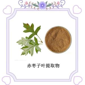 赤枣子叶提取物  黄酮源头供应 水溶性很好