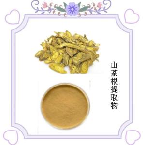 六盘韵生物 水溶性山茶根提取物10:1