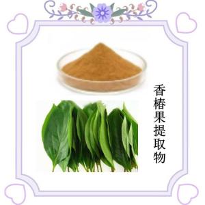 香椿果提取物 六盘韵供应 水溶性香椿果粉