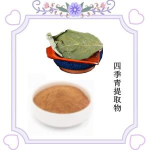 四季青提取物 宝鸡六盘韵