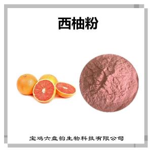 西柚浓缩粉 西柚粉 比例提取可定制 植物萃取原料