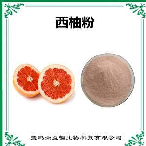 西柚果汁粉 西柚果粉 水果粉 水溶性好