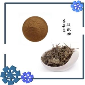 香茶菜提取物 水溶 可定制