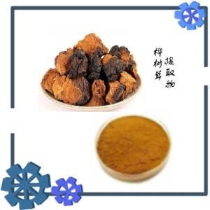 桦树茸提取物  供应水溶性桦树茸粉
