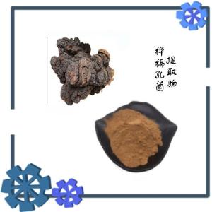 多糖 桦褐孔菌提取物  六盘韵