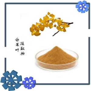 白果叶提取物  黄酮 高比例 植物萃取 六盘韵