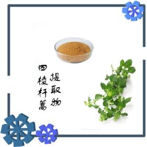 四棱杆蒿提取物 水溶性粉末 可定制醇提物