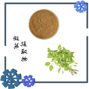 假苏提取物 可定制生产   浸膏