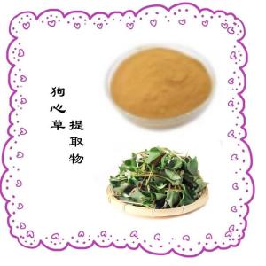 狗心草提取物  多种规格  支持拿样  资质齐全  可定制