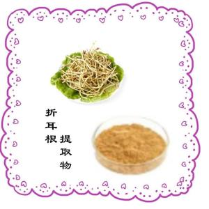 折耳根提取物10:1 浓缩粉 六盘韵供应