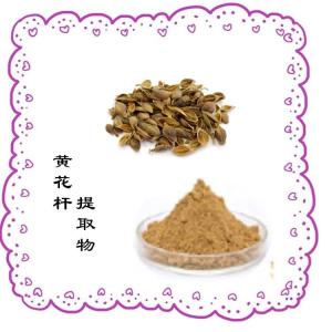 生产供应 黄花杆提取物   量大从优 当天发货