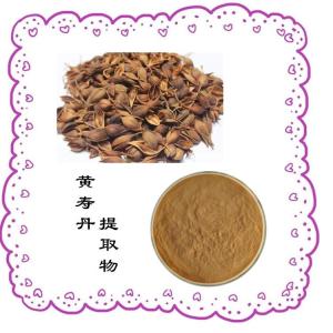 黄寿丹提取物  喷雾干燥水提工艺