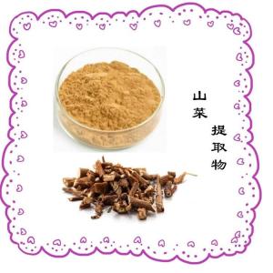 山菜提取物 水溶性好 10:1