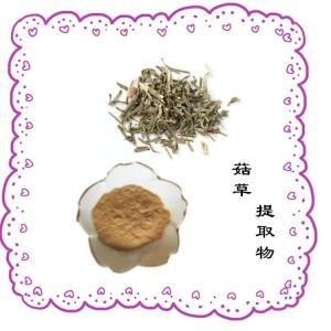 菇草提取物 喷雾干燥 水溶性好 可试样 质量稳定