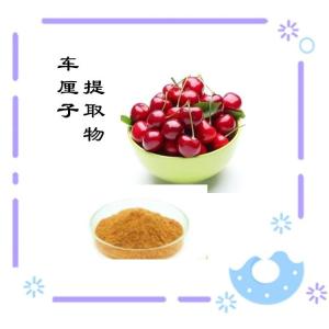 车厘子提取物 植提源头供应  速溶粉 固体饮料原料