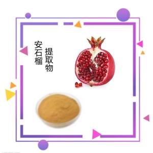 六盘韵生产 安石榴提取物  速溶粉