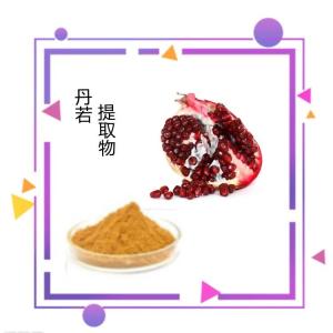 六盘韵生产 水溶 丹若提取物