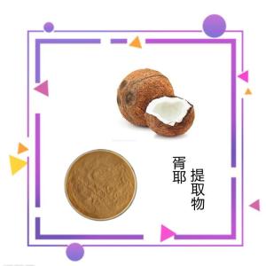 六盘韵生产 果粉厂家 胥耶提取物