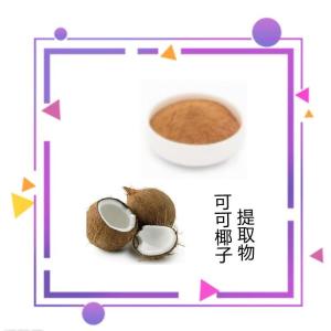 可可椰子提取物10:1 多规格可定制 速溶粉 喷雾干燥