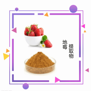 地莓提取物 支持拿样 地莓粉