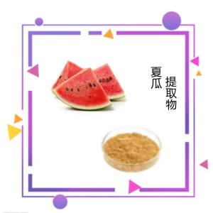 夏瓜提取物 喷雾干燥水溶性  食品级原料