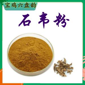 石韦粉 石韦提取物 植物提取 可定制