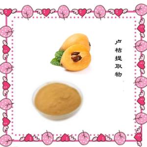 厂家供应卢桔提取物 水溶  可试样