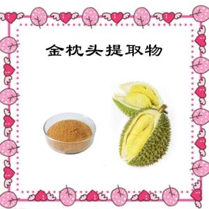 六盘韵生产  金枕头提取物 食品级原料