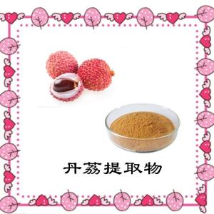 丹荔提取物 水溶荔枝粉 喷雾干燥