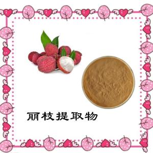 丽枝提取物  喷雾干燥工艺