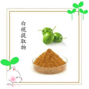 白榄提取物 水溶性好六盘韵生物