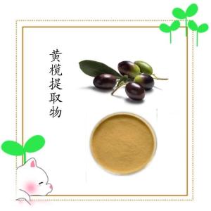 黄榄提取物 库存充足  喷雾干燥工艺