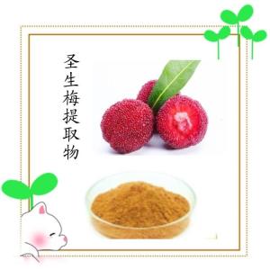 圣生梅提取物  植提 浓缩型水溶性