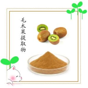毛木果提取物 高比例浓缩毛木果粉 水溶性好